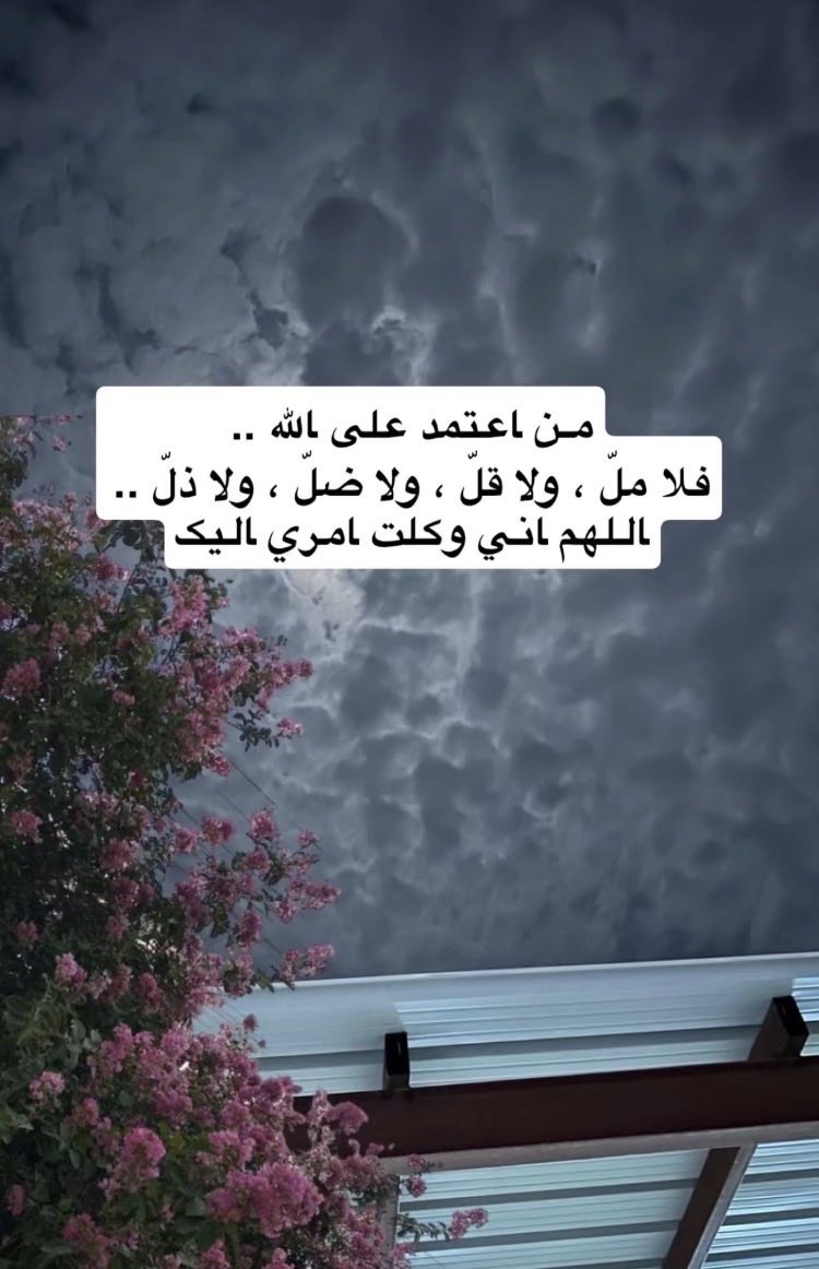 غ🦌 (@tww4g) on Twitter photo 