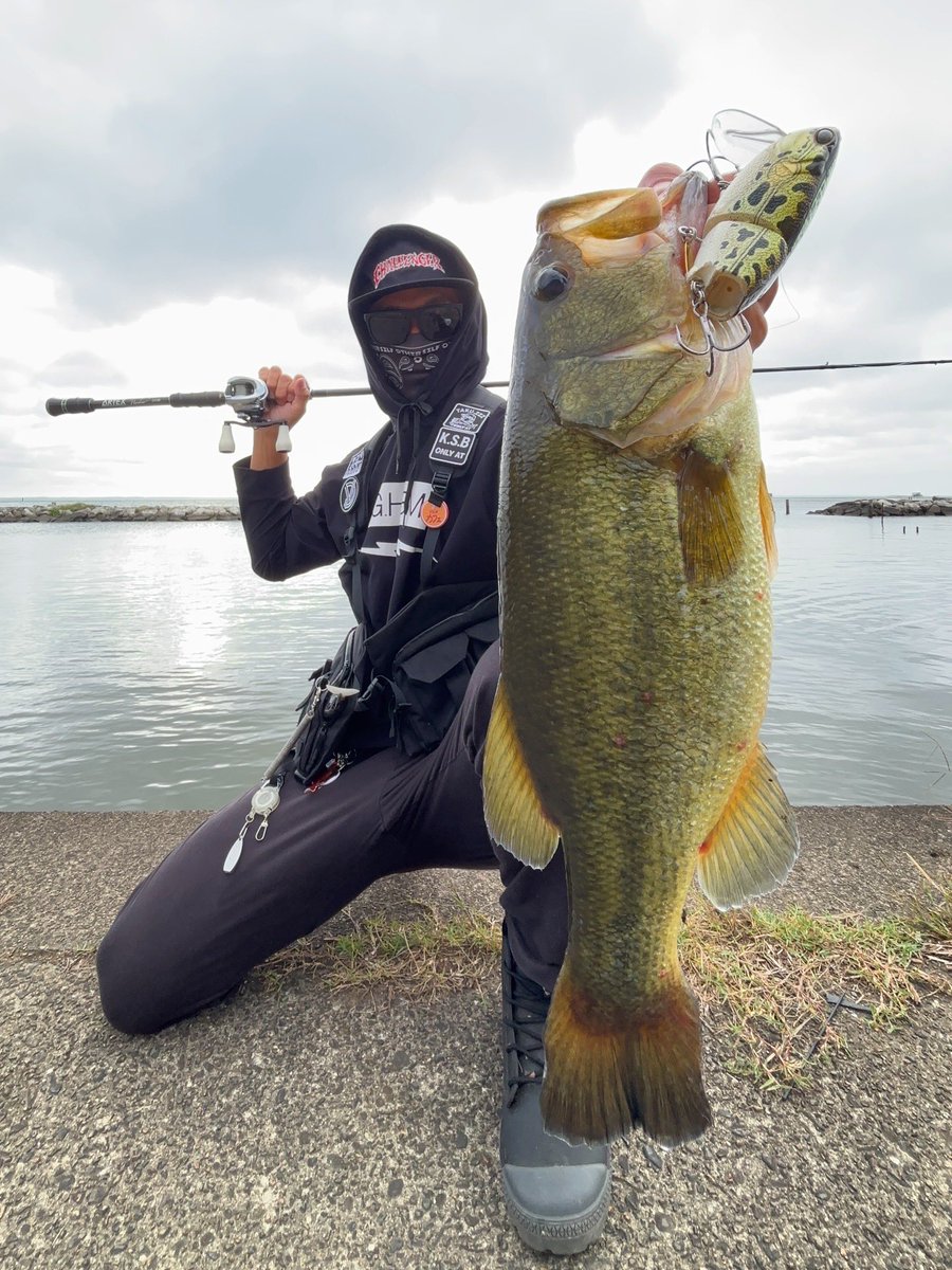 k_s_basser's tweet photo. 霞本湖のTJfish!
かっこいいバス☺️ https://t.co/9SNvtSDqIY