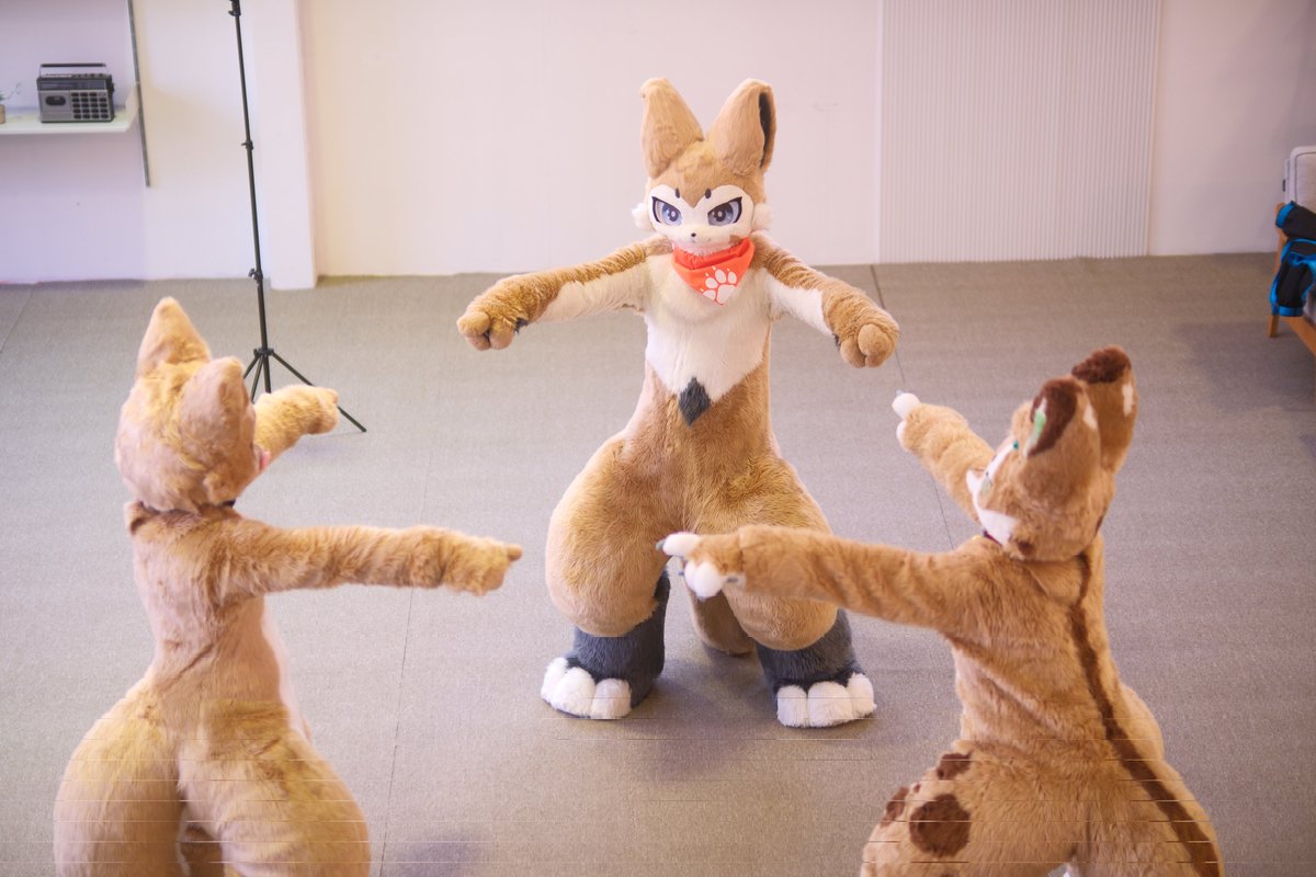 #FursuitFriday 

넌 누구야!
넌 누구야!
넌 누구야!