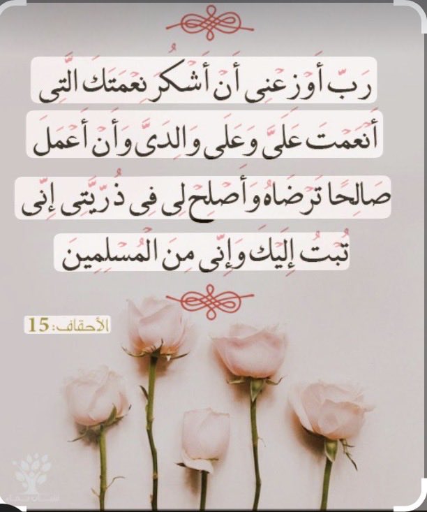 غ🦌 (@tww4g) on Twitter photo 