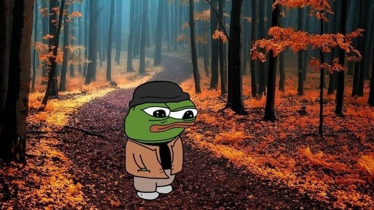 Ceehacks's tweet image. I&apos;m greatful for being to xeet  for keeping me stuck in the same rank on all leaderboards for the past two weeks and making contact their support almost twice every day

tysm! 🤝
I really do appreciate 🫂