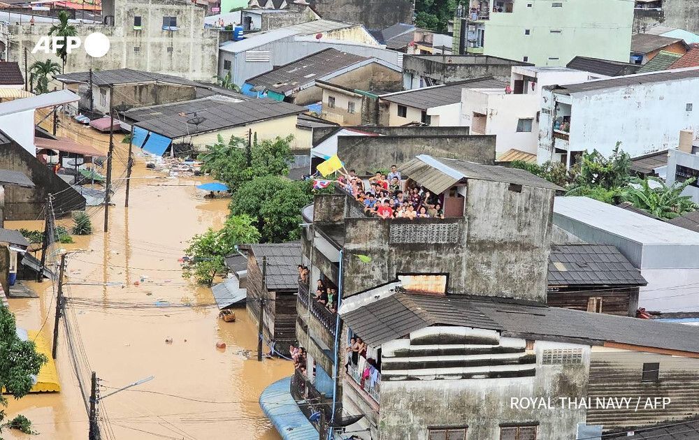 AFP News Agency tweet media