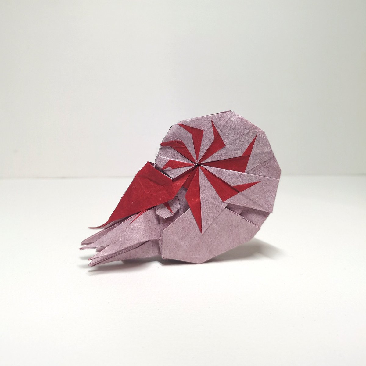 鹦鹉螺
设计折叠:本人
#折纸 #折り紙作品 #ORIGAMI