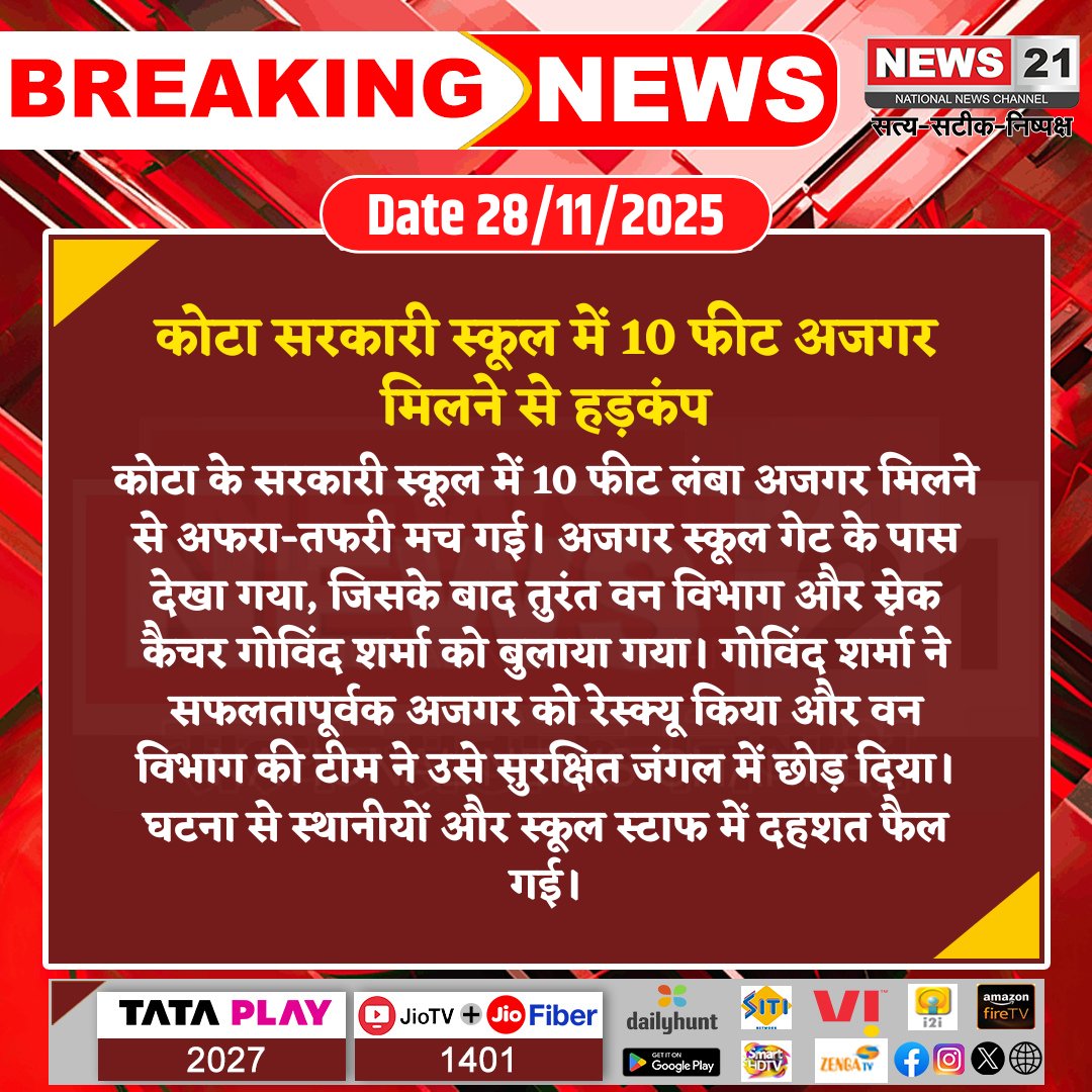news21national's tweet image. कोटा सरकारी स्कूल में 10 फीट अजगर मिलने से हड़कंप

#Kota #PythonRescue #SnakeCatcher #WildlifeRescue #ForestDepartment #RajasthanNews #SchoolIncident #BreakingNews #LatestNews #HindiNews #News21 #News21National