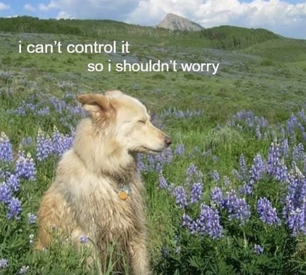 RespectfulMemes's tweet image. 