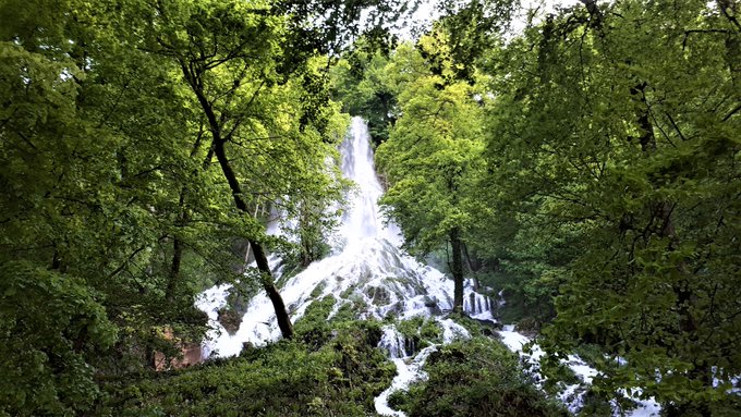Tropical forests cool the earth by 1° degrees. Trees do not only bind CO2. The strength of the cooling effect through biophysical effects of forests has been underestimated so far. 💚🌿🌱☘️🌳🌲🍀💚