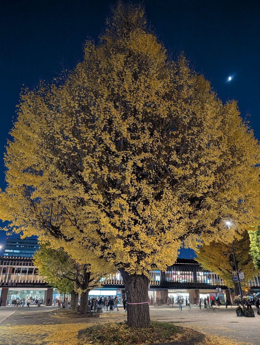 kk.moto(もと)🎇🟥 (@kkmoto2) / Posts / X