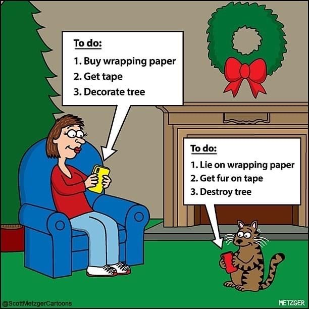 It’s time for Friday smiles have a good day #live #support #research #donate www.curecancer–ucl.org