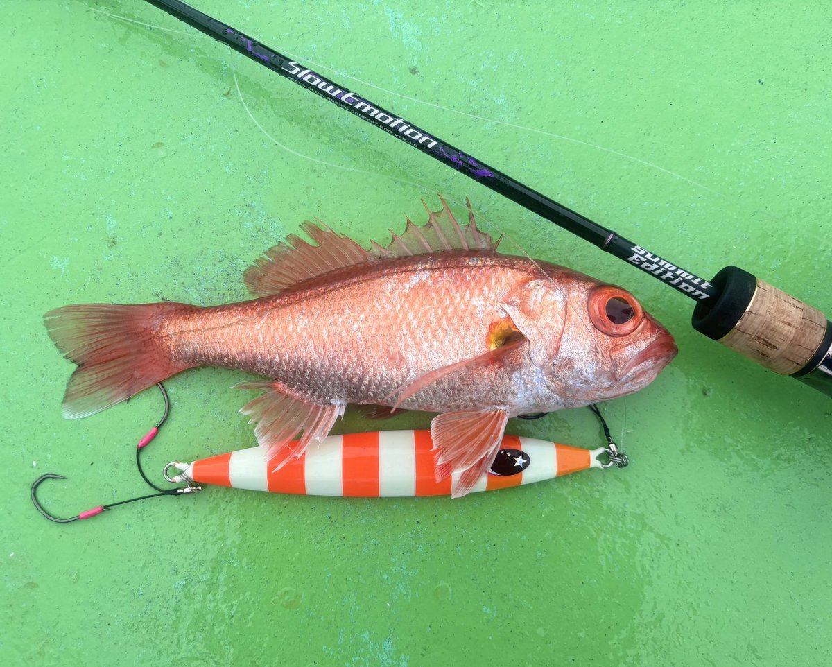 佐藤 宏樹 (@fishermanhiroki) / Posts / X