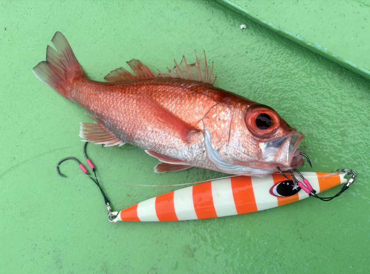 佐藤 宏樹 (@fishermanhiroki) / Posts / X