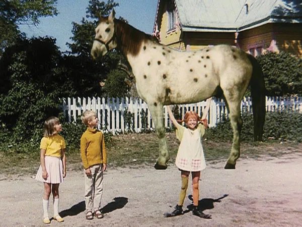 Anche Pippi viveva a Villavilla Colle con il cavallo Zietto.
#bosco #famiglianelbosco