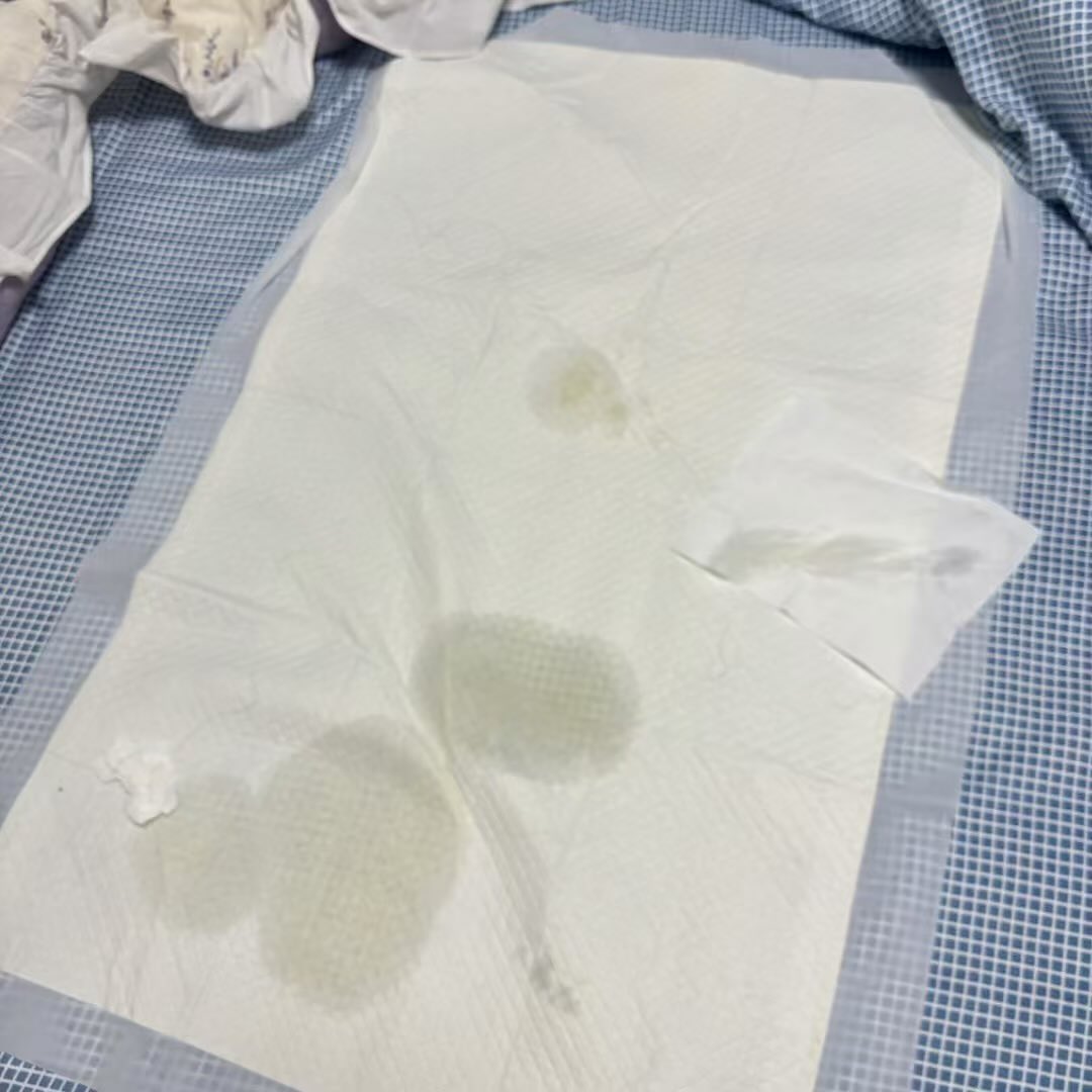 甜崽 (@cc9356) on Twitter photo 