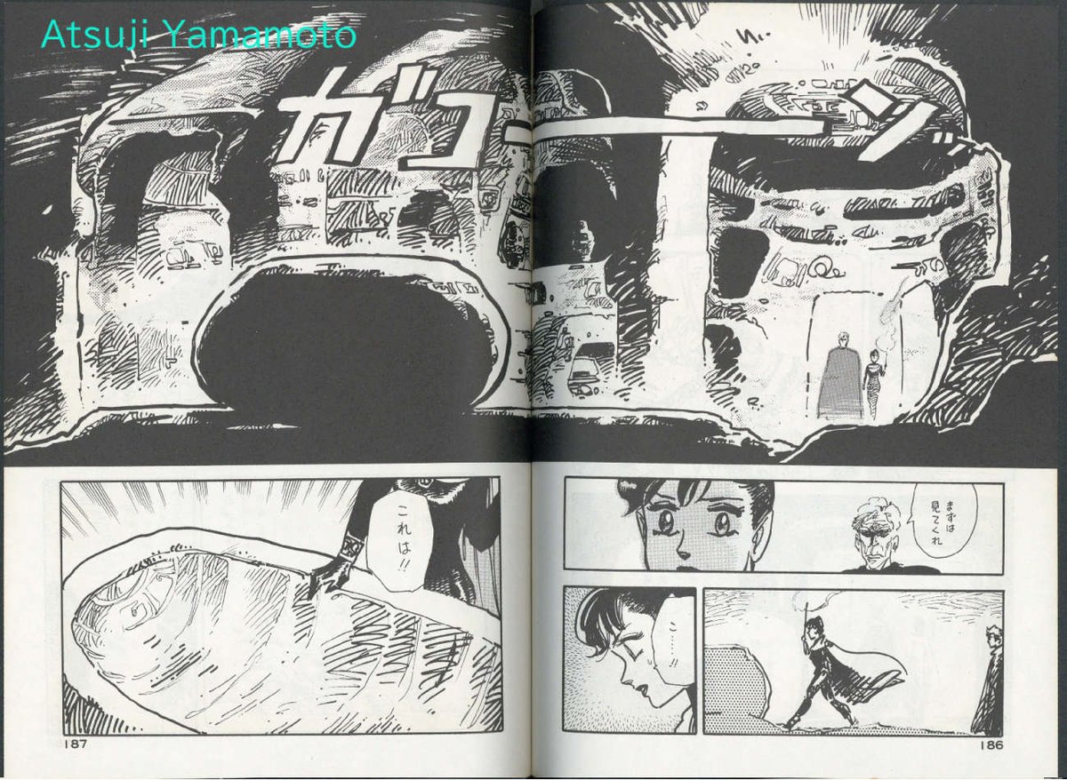 RT @atsuji_yamamoto: プロの作る同人誌としては1980年代に高橋留美子