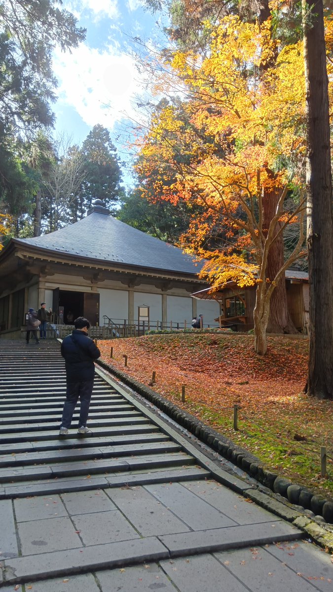 Castle_Traveler's tweet image. #11月を写真4枚で振り返る 
興国寺城🏯11/3登城。
諏訪原城🏯11/16登城。
中尊寺🛕11/22参拝。
青葉城🏯11/24登城。