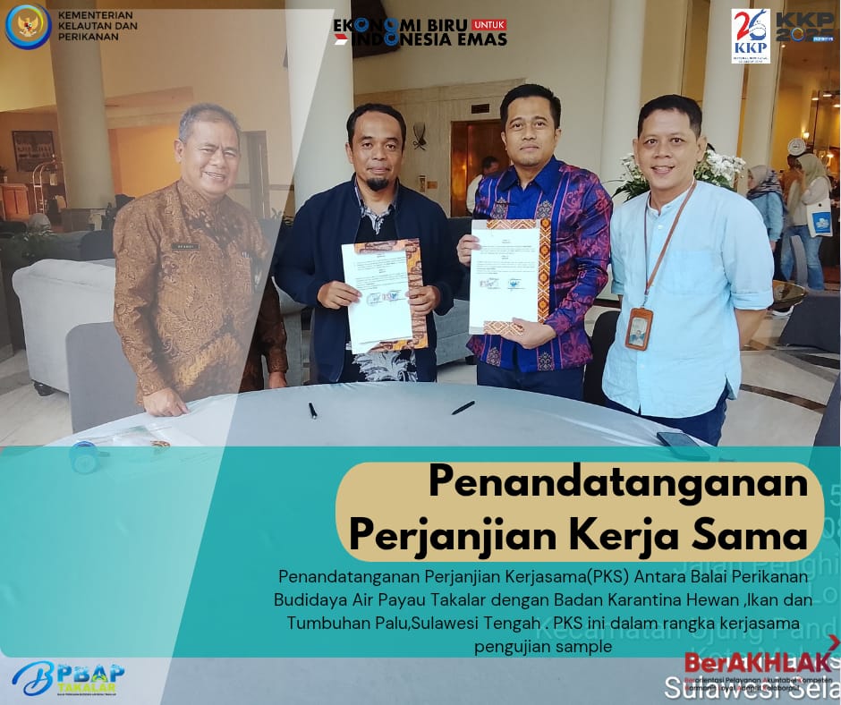 Hari ini BPBAP Takalar bersama Badan Karantina Hewan, Ikan,dan Tumbuhan Palu, Sulawesi Tengah melaksanakan penandatanganan Perjanjian Kerjasama (PKS) terkait pengujian sampel uji.
Langkah ini menjadi wujud komitmen untuk meningkatkan layanan, mutu hasil budidaya, serta kolaborasi