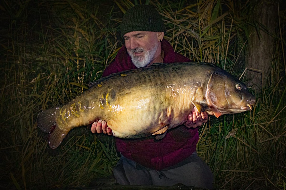 🏴☠️ Dave Little 🏴☠️🎣 tweet media