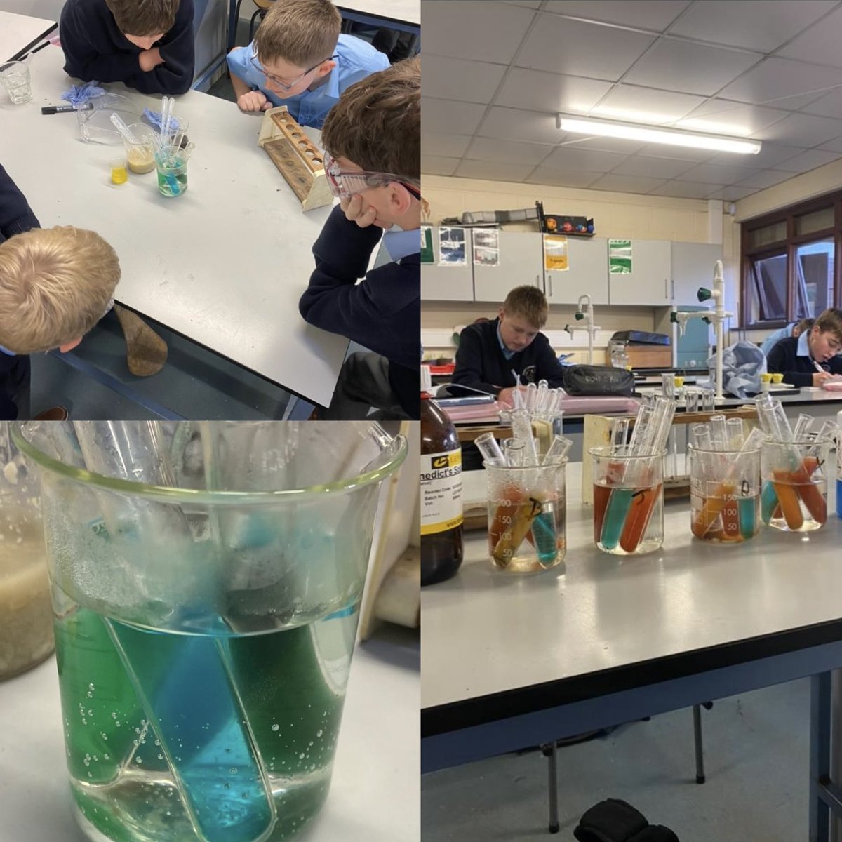 GCC_NewRoss's tweet image. 1st Year Science 🧪 Testing foods for sugar: blue 🔵 = no sugar, red 🔴 = sugar! #scienceexperiment #STEM