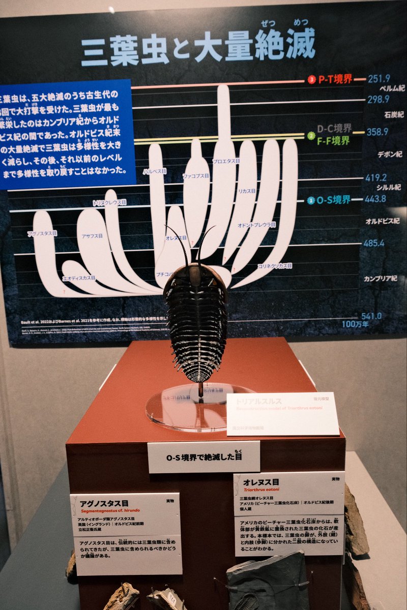 JK1APN's tweet photo. 国立科学博物館に行ってきました
なかなか面白い https://t.co/cnYHHQABBt