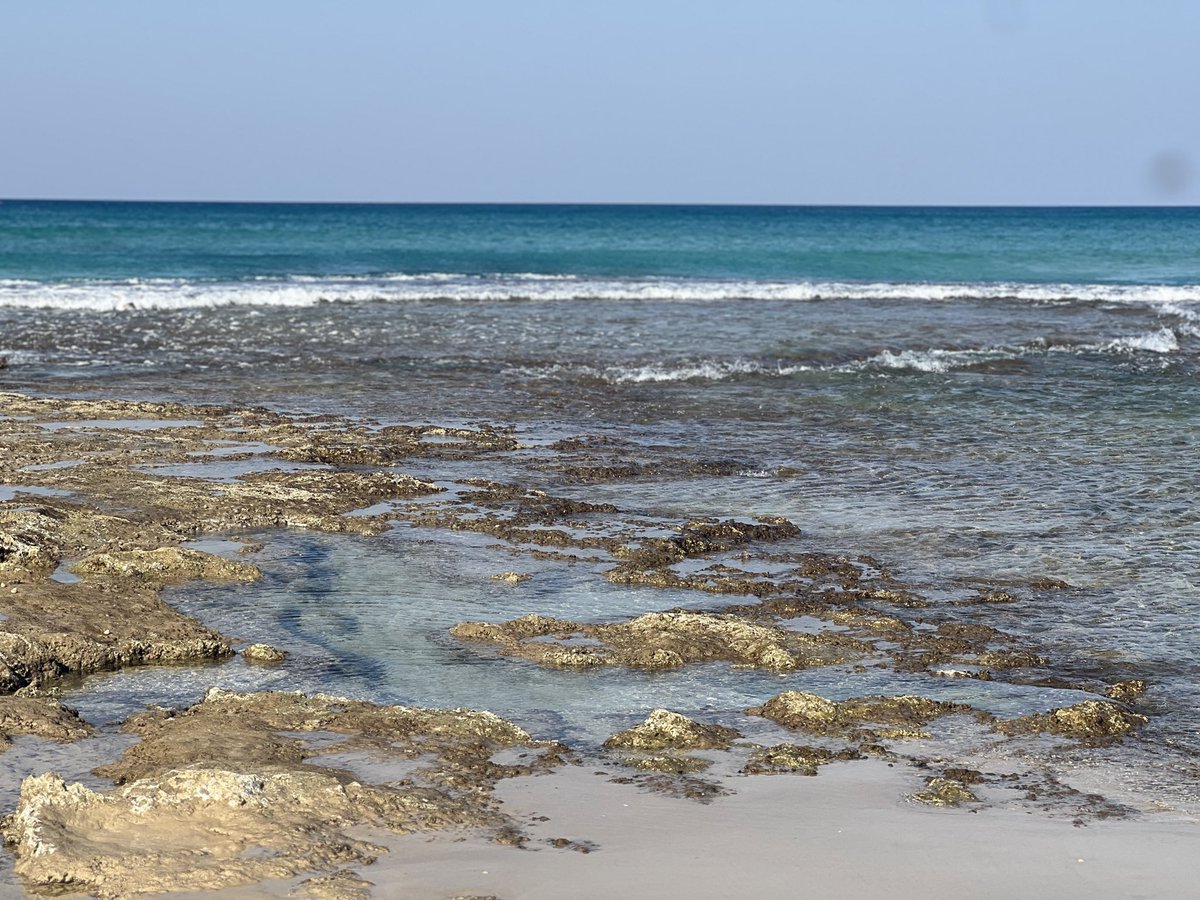 Nutshell0O7's tweet image. לי כל גל נושא מזכרת…