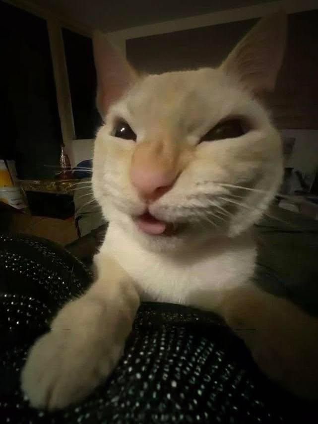 Muejejeeje <a href="/DeniseraTrue/">DeniseTeAma (NSFW AC🔞)</a>