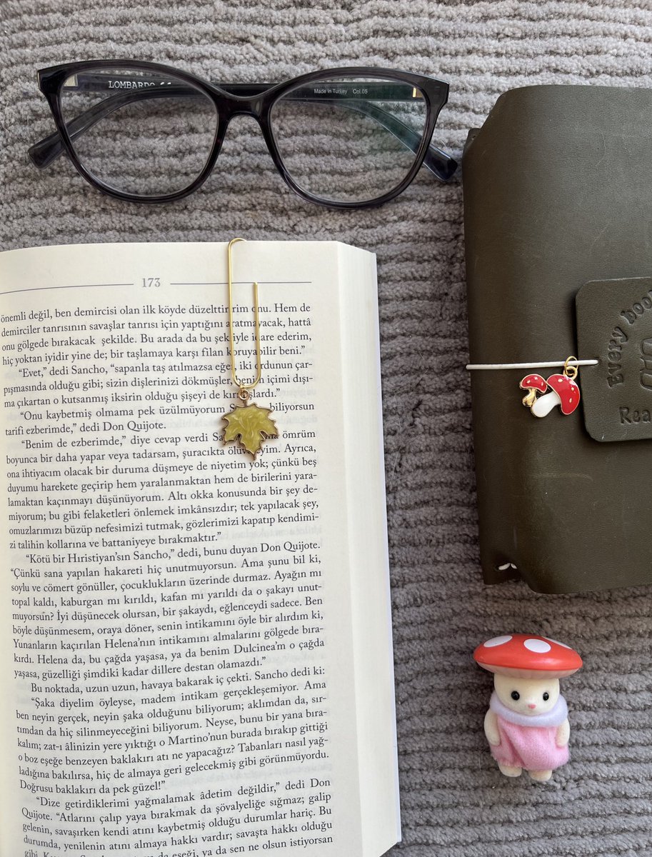 Kitap ayracımın güzelliğine bakın 🍁
