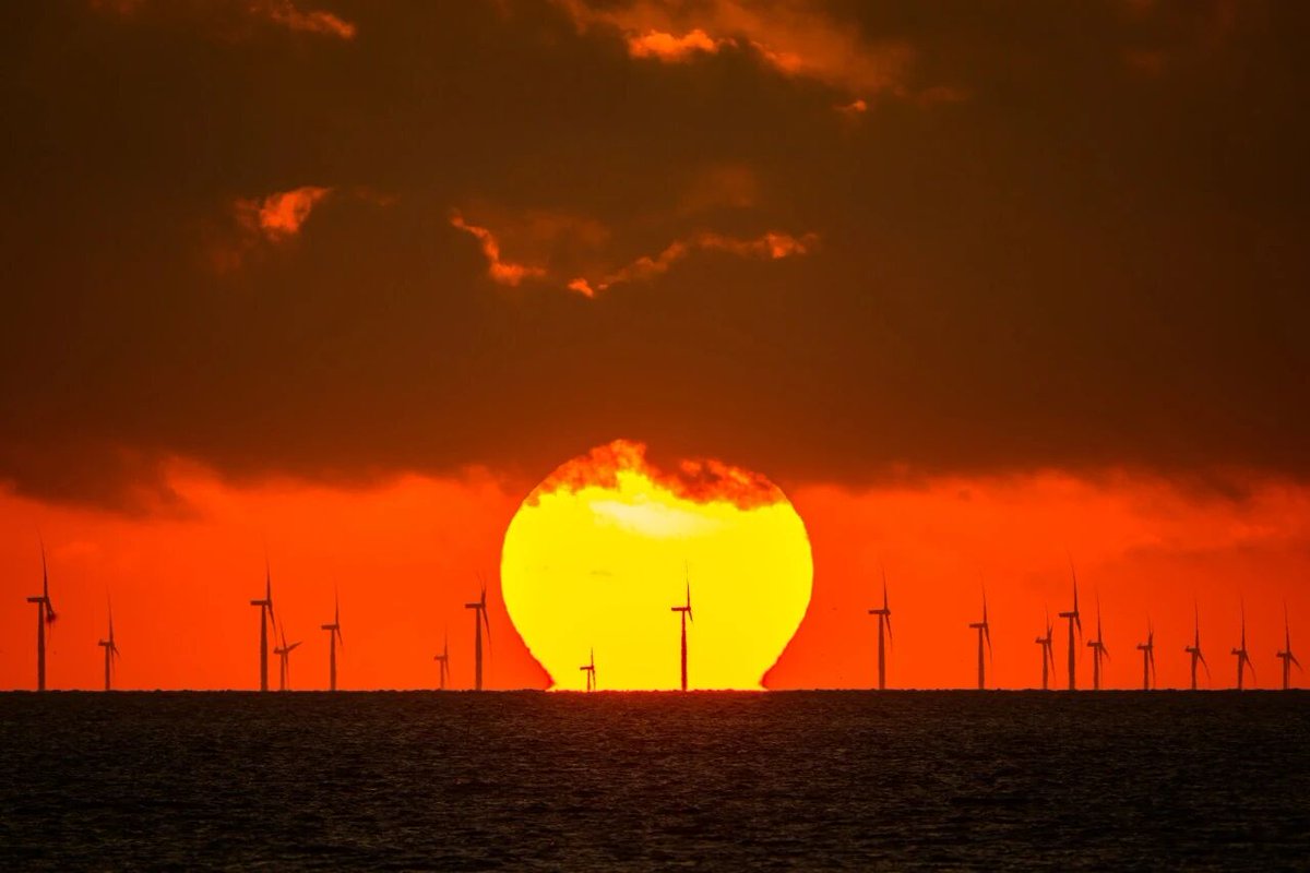 The Little Spoon tweet media