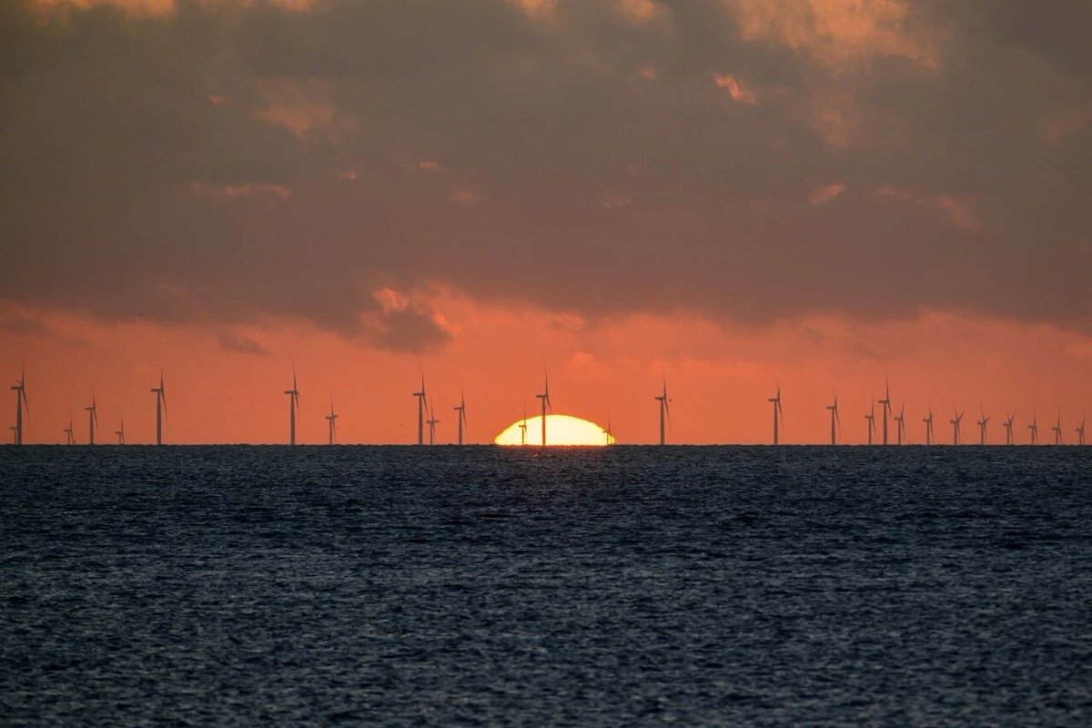 The Little Spoon tweet media