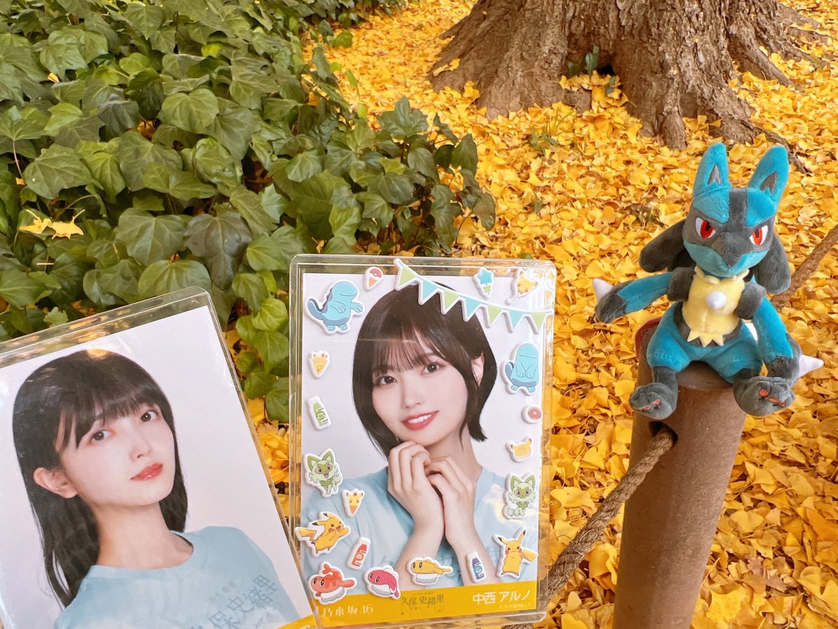 r_in_u's tweet image. アルノちゃんとルカリオをいちょう並木に連れて行った😸