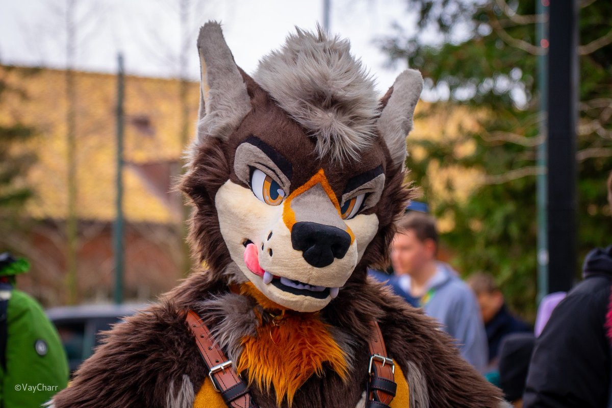 swifty_awoo's tweet image. You&apos;re looking mighty tasty for this #FursuitFriday!

📷 furtrack.com/p/964889
🪡 @kigurumikagetsu