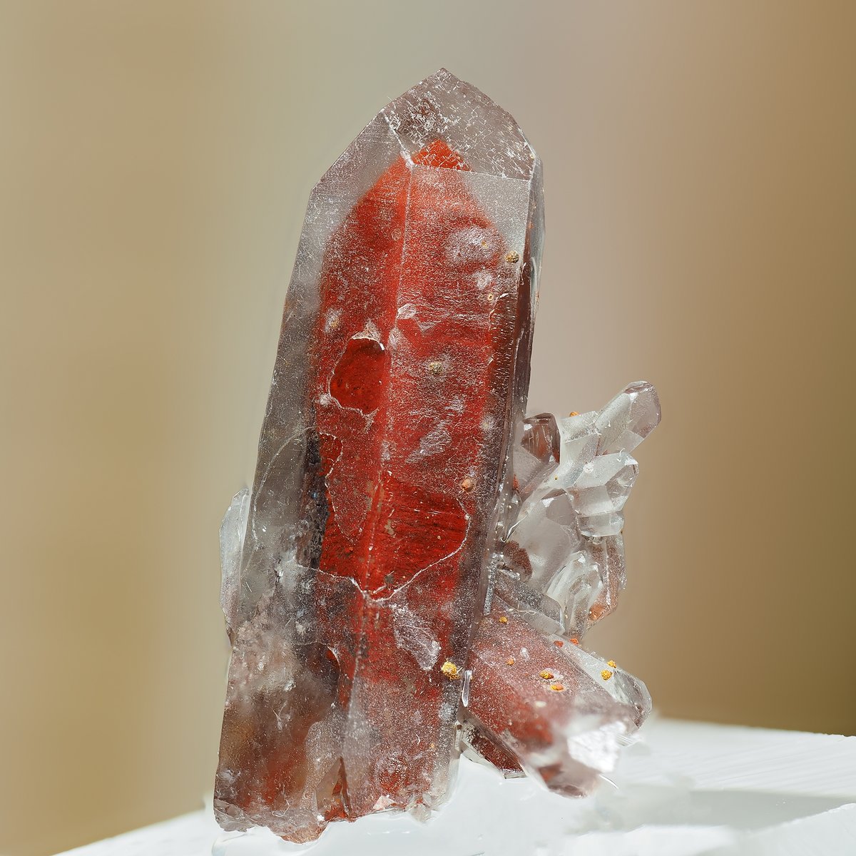tak_collection's tweet image. Quartz from Orange River, Namibia
Height 18mm

サイズが小さいために肉眼ではやや地味なマクロ撮影向きの標本。
久しぶりの深度合成撮影が🐶の歯だけというのもｱﾚなので、石も撮ってみました😅