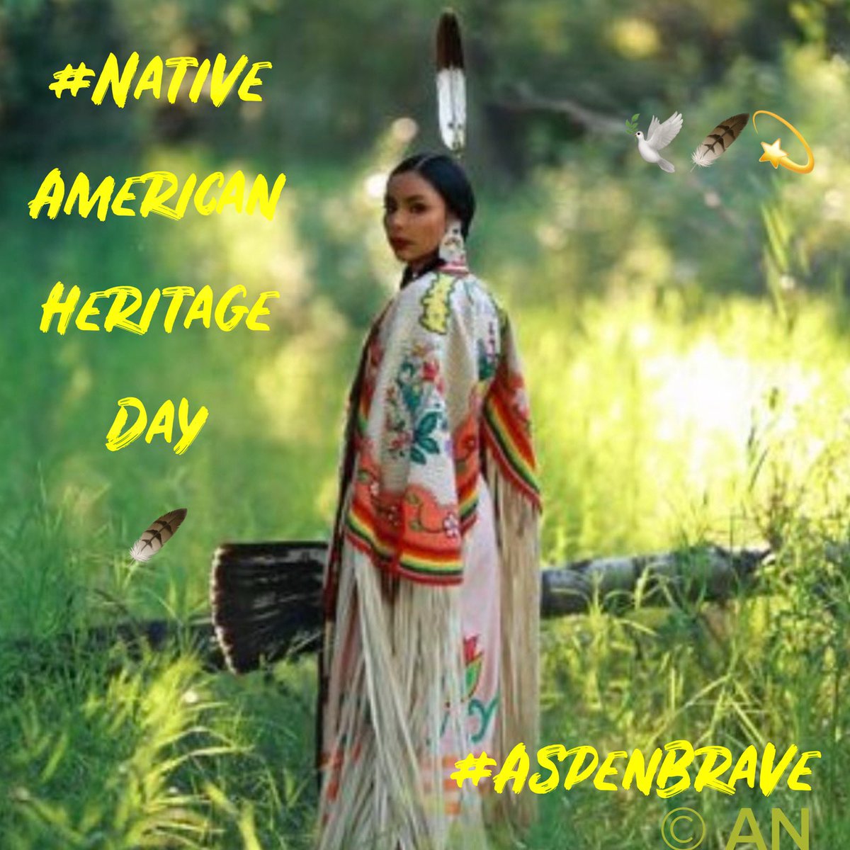 Write2Fite's tweet image. soon a final bow
life’s tribe is from womb to tomb
your health is your arrow

🪶
On this #NativeAmericanHeritageDay ,
I think of my ancestors, and I am humbled and honored to be
their #MemoryKeepers…

Love,
Aspen🕊️

#BraveWrite #vss365 #RareDisease
👇
youtu.be/lbjZPFBD6JU?si…