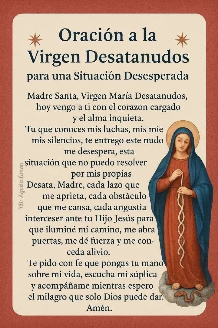 MartaMontoyaVa1's tweet image. 