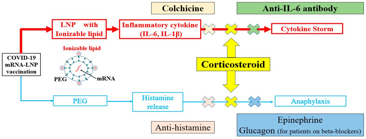 Diseases_MDPI Share the #Review by Toru Awaya, et al. 

#Cytokine Storms and #Anaphylaxis Following #COVID-19 mRNA-LNP #Vaccination: Mechanisms and Therapeutic Approaches

mdpi.com/2079-9721/12/1…