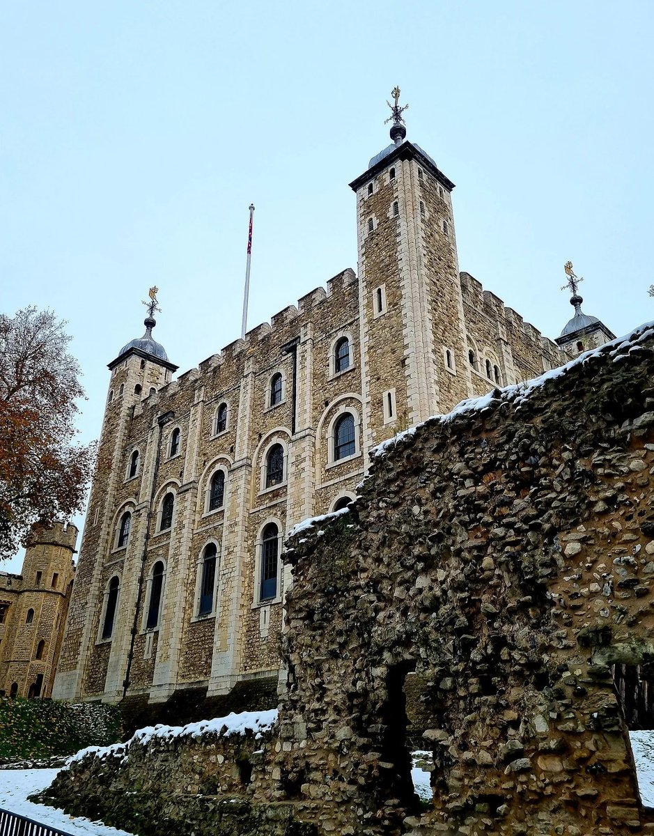 #OTD 1499, the Plantagenet dynasty in the legitimate male-line was abruptly brought to a close with a swing of an axe. Was Edward, Earl of Warwick guilty of anything other than the blood in his veins? The Tudors' first innocent killing?

Read on:
nathenamin.substack.com/p/the-tragic-d…