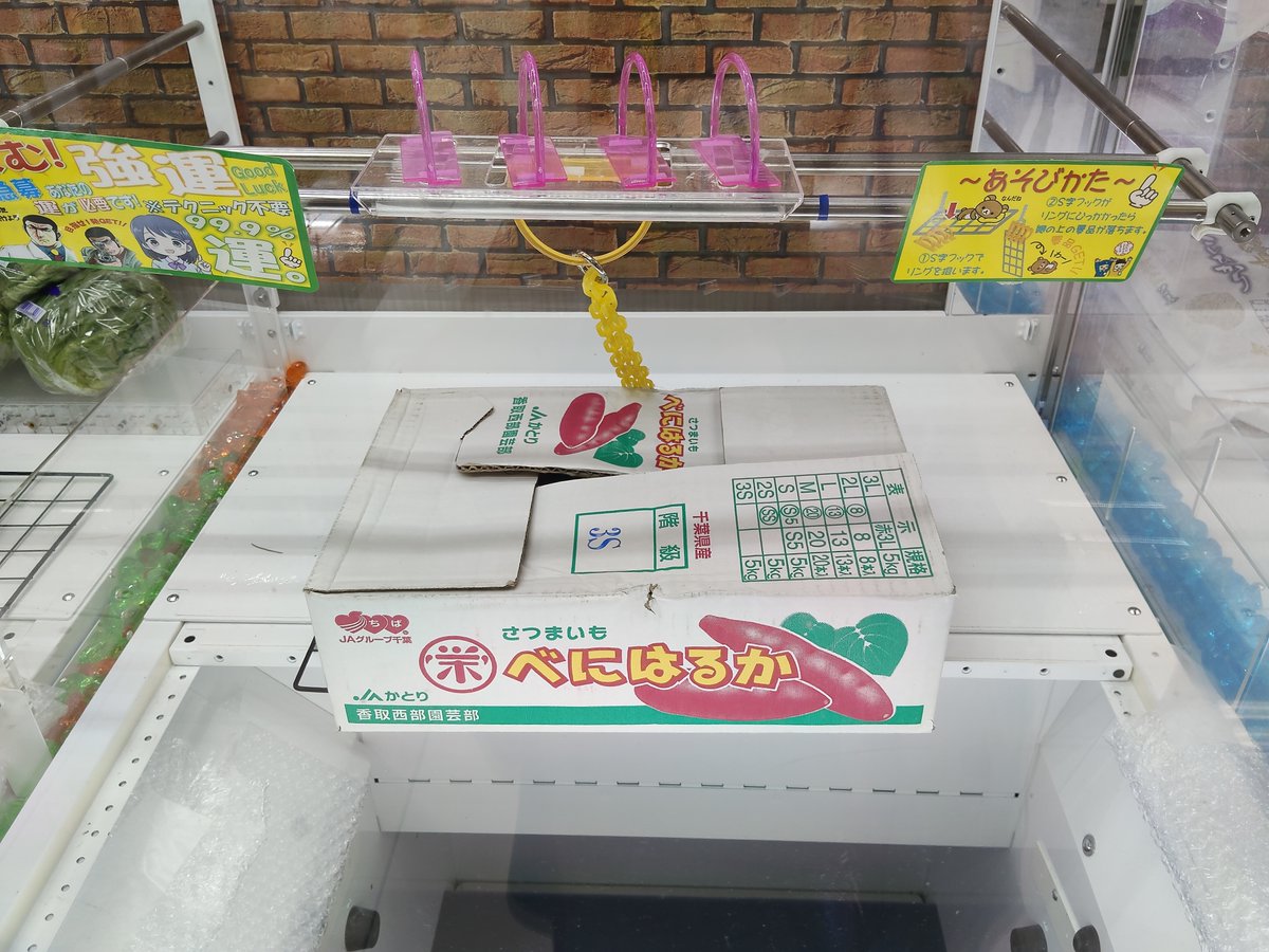 m_t_amuse's tweet image. 万代書店高崎店 プライズ情報 

週末限定青果キャッチャー🍓📷 

今週の野菜は、さつまいも🍠と、レタスが登場！！！

レタスはなんと！✨驚異の７個!!!

その他、果物も稼働していますので、お早めにご来店ください！！

#万代高崎 　＃青果キャッチャー