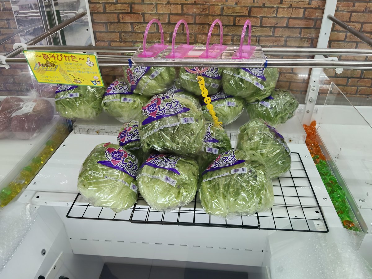 m_t_amuse's tweet image. 万代書店高崎店 プライズ情報 

週末限定青果キャッチャー🍓📷 

今週の野菜は、さつまいも🍠と、レタスが登場！！！

レタスはなんと！✨驚異の７個!!!

その他、果物も稼働していますので、お早めにご来店ください！！

#万代高崎 　＃青果キャッチャー