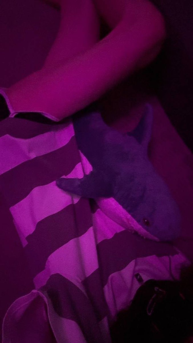 ThatOneeFox's tweet image. Femboy friday yay (⌒▽⌒)