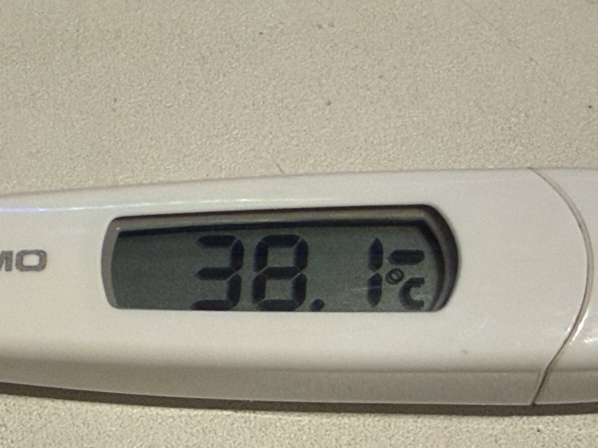 明日のおはちはお休みです