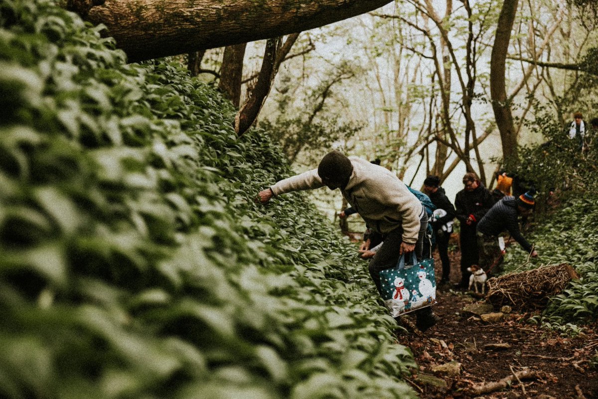 OneMinuteBriefs's tweet image. ONE MINUTE BRIEF OF THE DAY: 28/11/25
Create posters that invite men to join their local #IceBreakers dipping group. Make it feel welcoming, safe and a bit adventurous. Cold water, warm people. 

Full brief: bankofcreativity.co.uk/blog/omb-icebr…

Prizes:
Winner: A DryRobe
Runner Up: An…