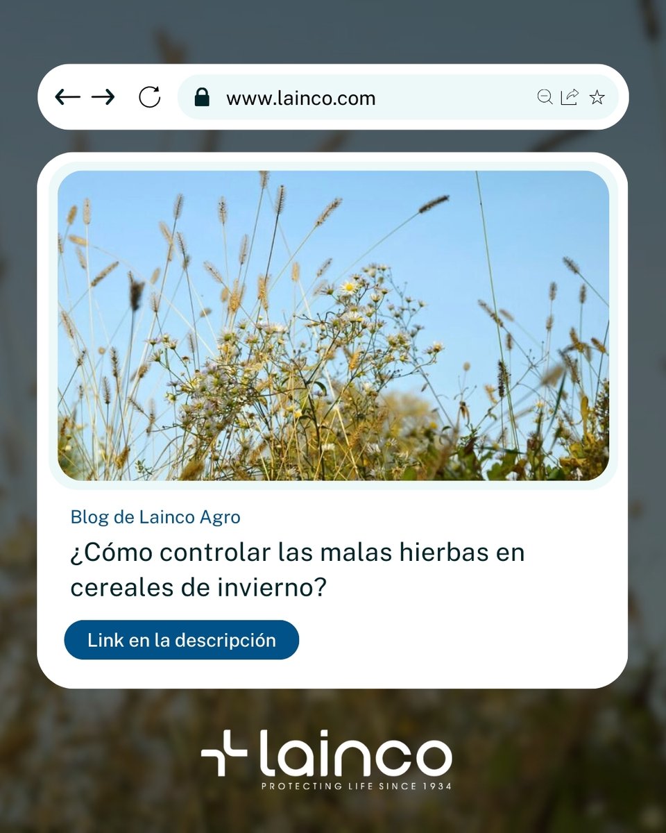 🌱 El control de malas hierbas en cereales de invierno es esencial para asegurar una cosecha saludable y rentable. Aprende en nuestro nuevo artículo las mejores estrategias para gestionarlas de manera eficiente y sostenible sin afectar el rendimiento de tus cultivos. 🌾

👉 Lee