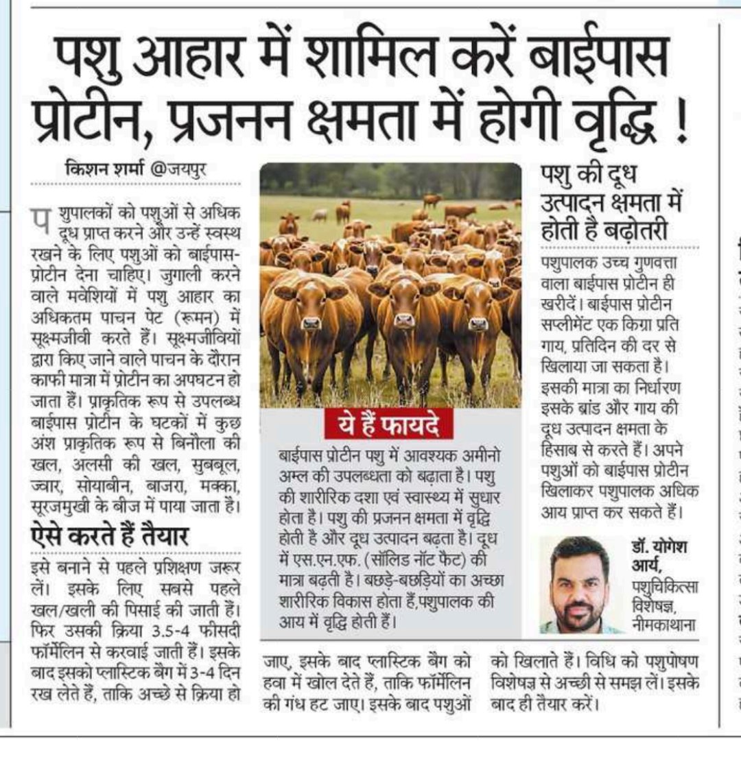 Dr Yogesh Arya tweet media