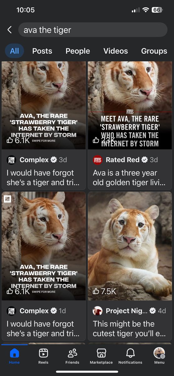 IronGhost269's tweet image. Millions of fanbase in Thailand and around the world. Ava the rare tiger!

H1vAwYTZkL2Bq8tpS5DhC4pPJjhMLviH2ScGjuePpump
@avathecutetiger