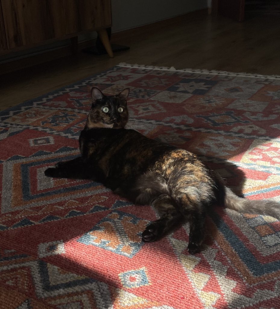 godumu ısıdmaktayım dostnarım