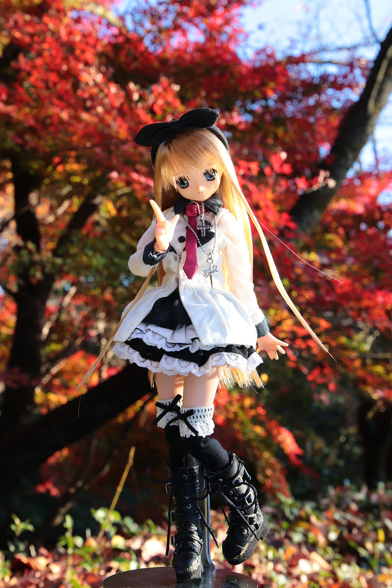 ぽー (@po_koinu) / Posts / X