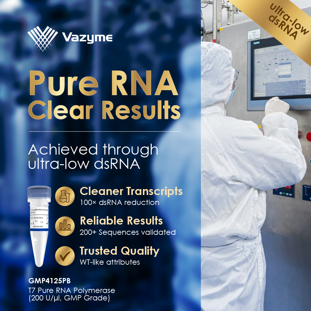 T7 Pure RNA Polymerase (GMP Grade) is coming soon with ultra-low dsRNA for cleaner RNA output. Achieves up to 100× dsRNA reduction with WT-like performance. DM us for early access to updates.

#LifeScience #Biotech #GMP #IVT #mRNA