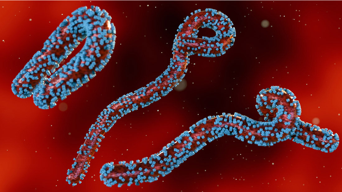 #MarburgVirus-Ausbruch in Äthiopien - Ausbreitung ist wahrscheinlich: Fachleute sehen jetzt die Priorität in der schnellen Identifizierung  infizierter Personen sowie deren Isolation, wenn nötig, sowie in der  Verhinderung weiterer Ansteckungen. mtdialog.de/news/artikel/m…