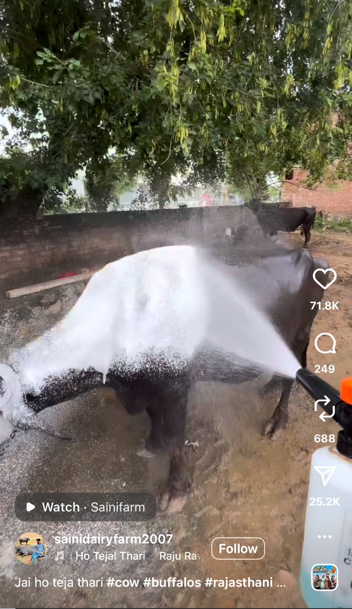 ColddCoco's tweet image. Accha aise bhi use kr skte hai 😭