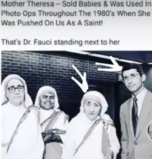 conspiracyb0t's tweet image. 