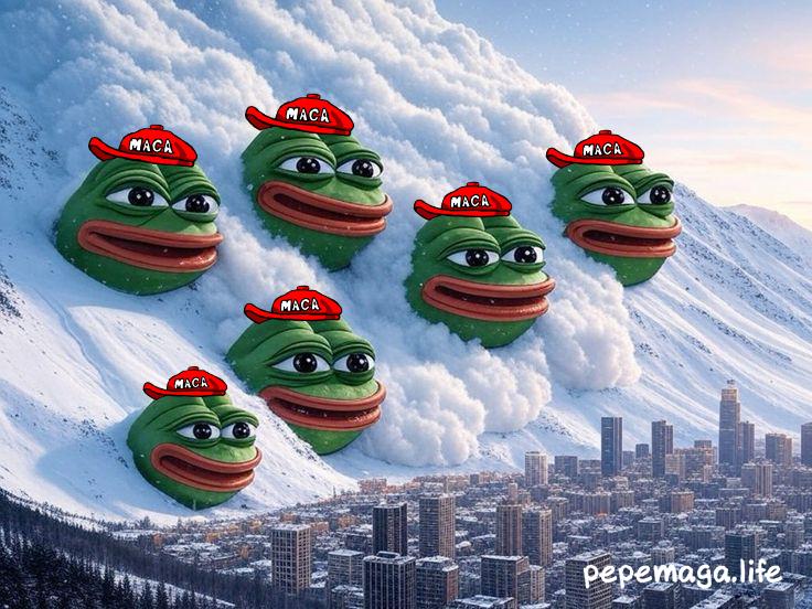 PEPE $MAGA tweet media