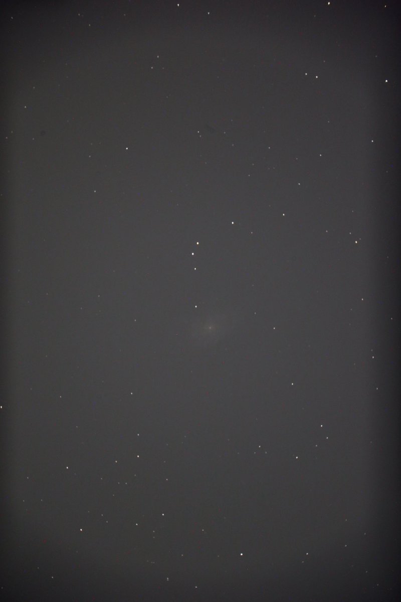 hanadatesatomi's tweet image. NGC 7793 captured from Honshu, Japan.  
This Sculptor Group spiral sits extremely low for us, but surprisingly came out brighter than expected.  
#Astrophotography #NGC7793 #deepskystacker